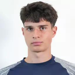 Lambis Fostiropoulos, Augustana