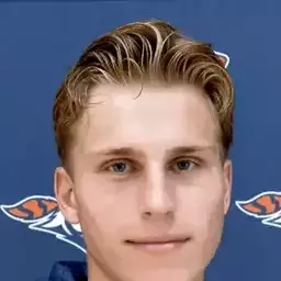 Edin Hajric, Carroll