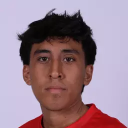 Diego Moreno, Carthage