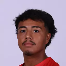 Marco Alberts, Carthage