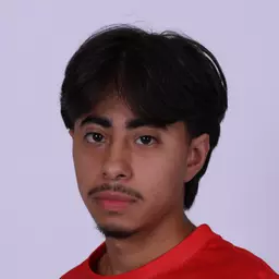 Ricardo Gonzalez, Carthage